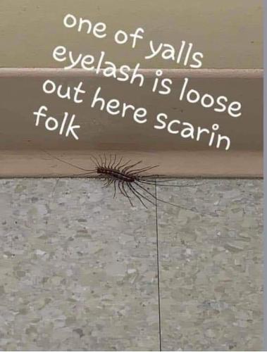 FB_IMG_1685737367092