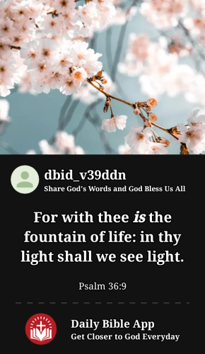 2023-06-011685657428990