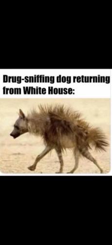 8a509f3b-6979-4394-a35a-00c5b6d28f97