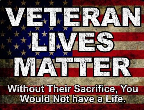VLM Veterans lives matter