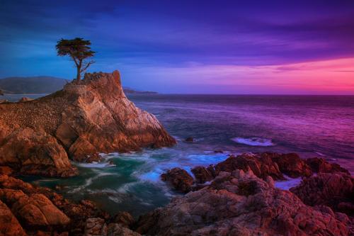 Lone Cypress Beach