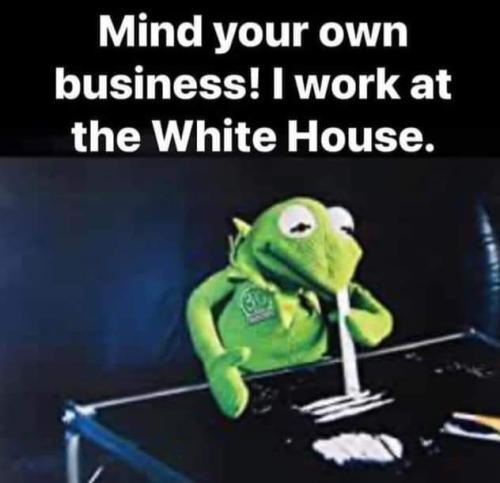 FB_IMG_1688867549516