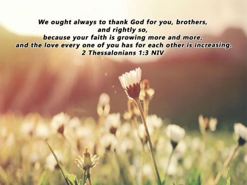 df75f8215e4024f03875ff07db708a26