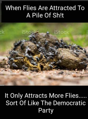 FB_IMG_1690224713672