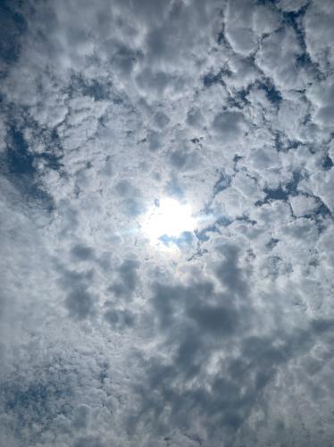 F839A0A5-0781-43CE-9BA3-AD4D438CB640