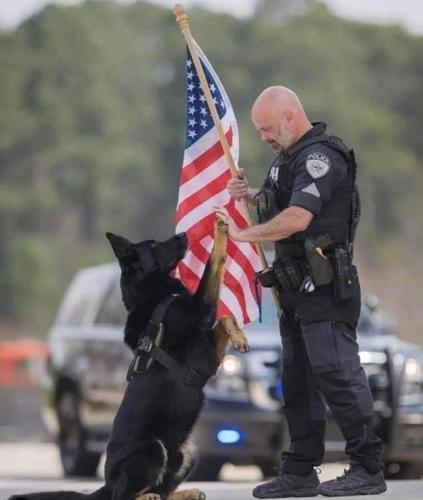 FB_IMG_1689261105023