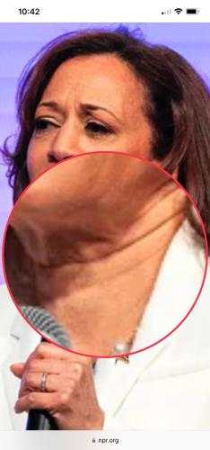 IMG_20230701_075632_618