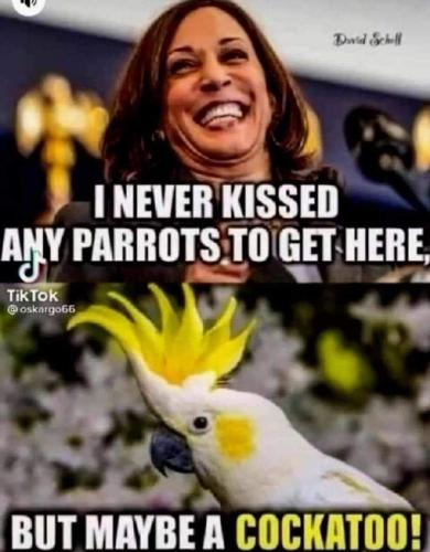 FB_IMG_1690633107454