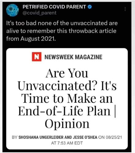 newsweek piece