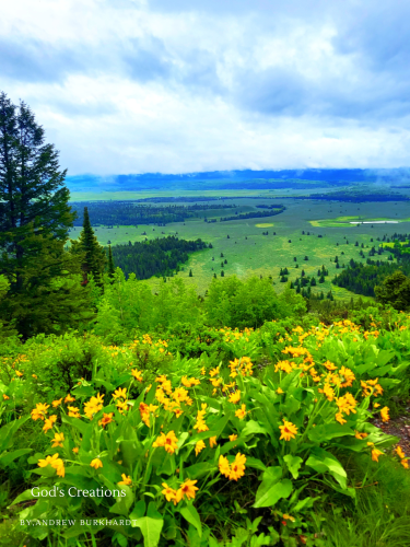 30_20230629_195928_0029