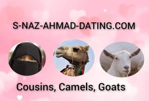 FB_IMG_1688758235152