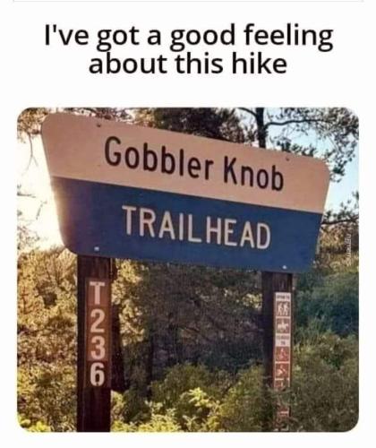 FB_IMG_1689274428787