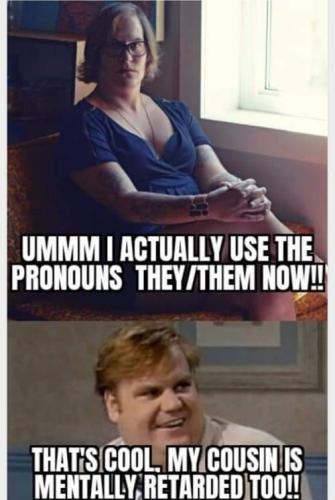 FB_IMG_1689503588539