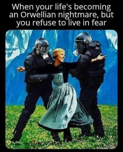 FB_IMG_1689378475045