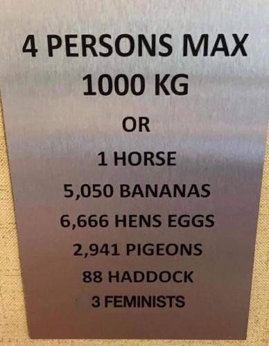 FB_IMG_1688760396968