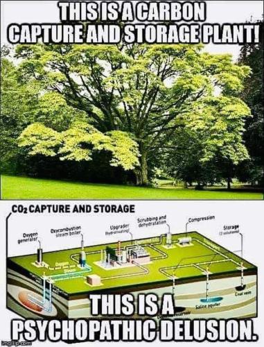 carbon capture