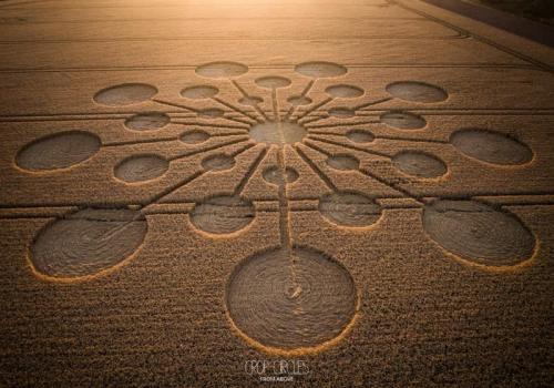 345628846_15749663038