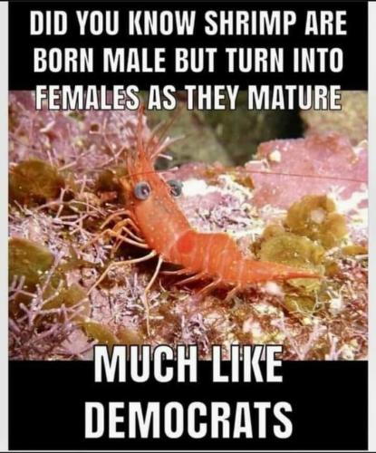 FB_IMG_1690133060443