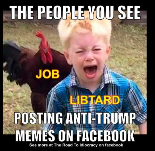 FB_IMG_1689271135611