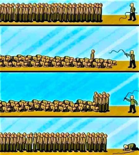 FB_IMG_1688245457446