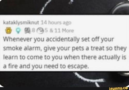 0ed2f9a8-6acf-476f-8c1e-b29ed9c856ff