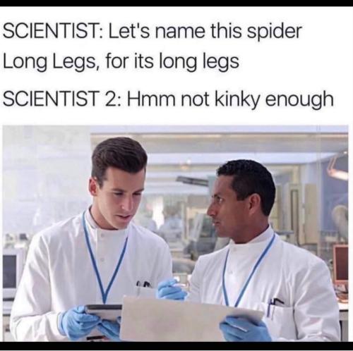 FB_IMG_1689177411234