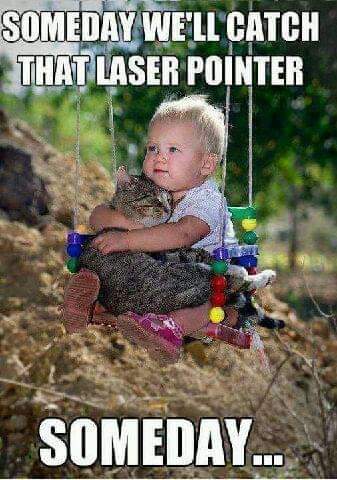 FB_IMG_1690571902964