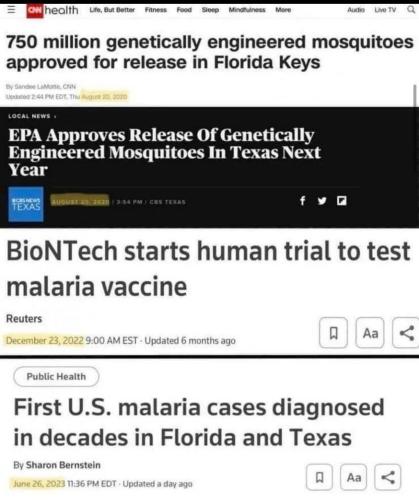 IMG_20230703_170418_518