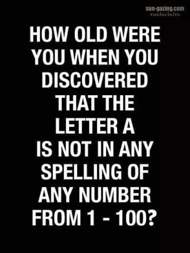 FB_IMG_1689176277805