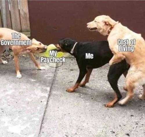 357571238_161150966974506_4910454523435220664_n