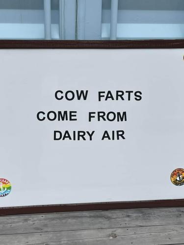 FB_IMG_1690556575501