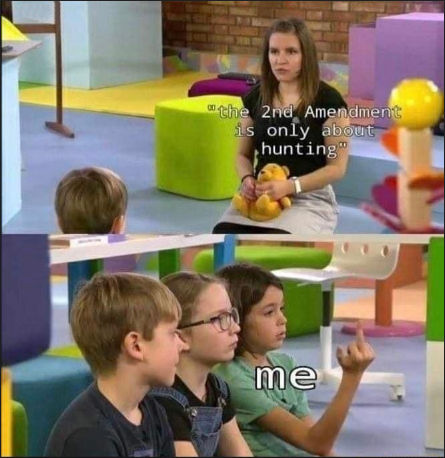 the second amendment is about hunting