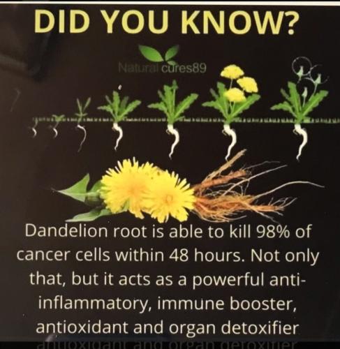 Screenshot_20230721_191747_Chrome