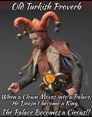 358116817_7146479198702666_3084584436803018634_n