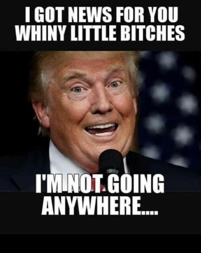 Trump 71
