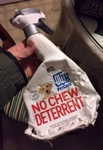 FB_IMG_1688397527469