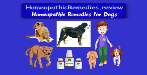 HomeopathicRemedies.review - Homeopathy for Dogs