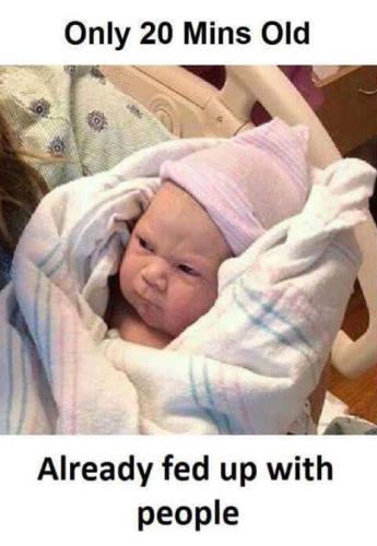 FB_IMG_1690230276011