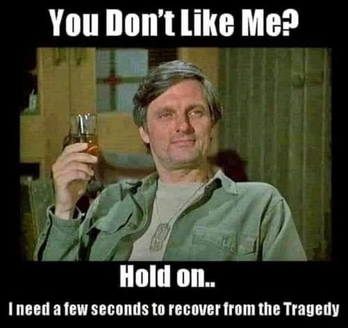 FB_IMG_1688259154842