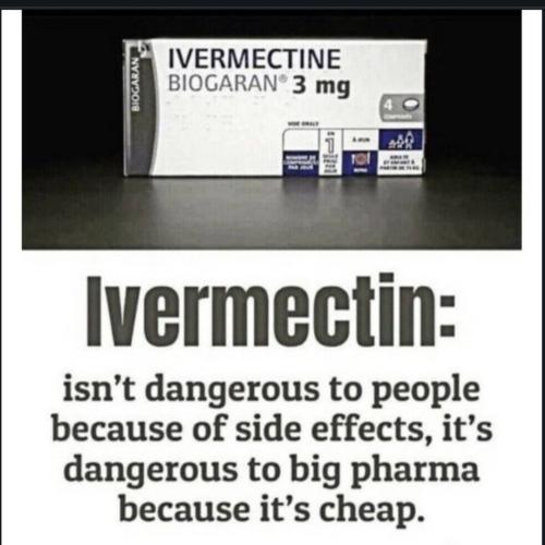 Screenshot_20230724_073208_Chrome