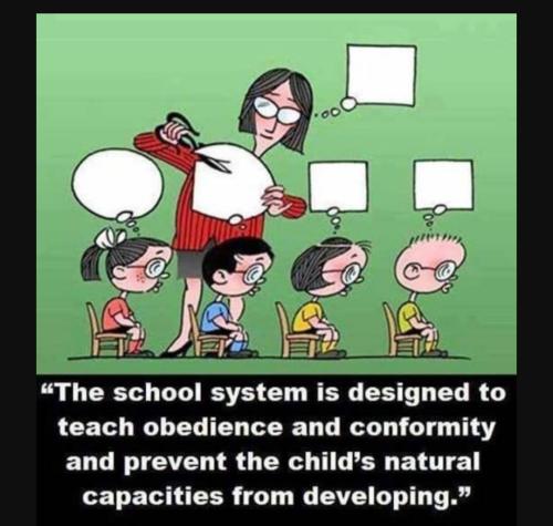 Screenshot_20230726_012156_YouTube