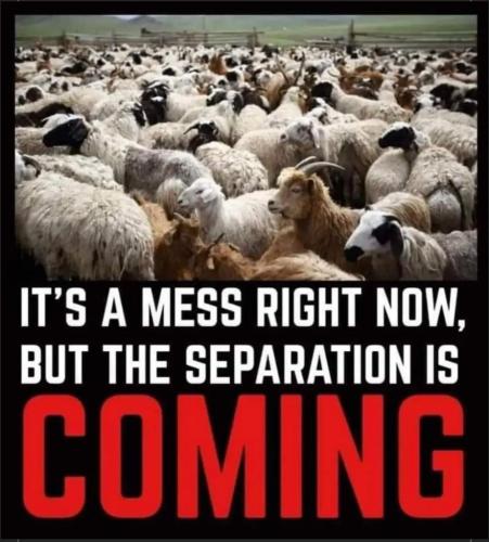 0ae711d1-1020-4d00-b71b-549041724110