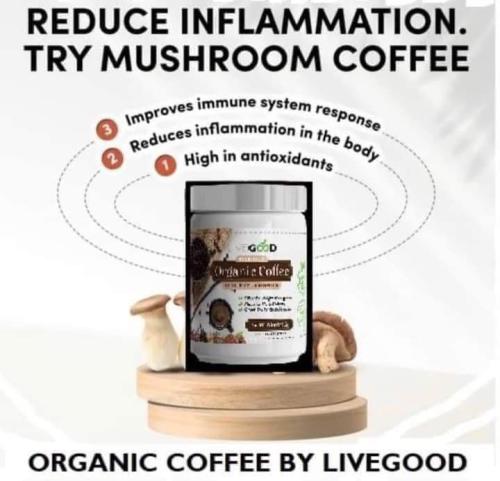 FB_IMG_1689237235404