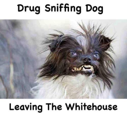 FB_IMG_1689279901396