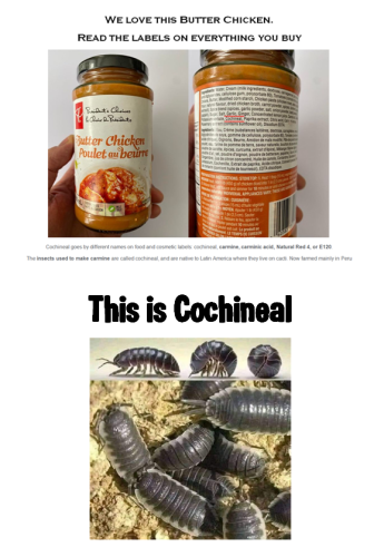 cochineal