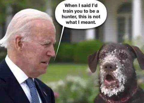 FB_IMG_1689449798151