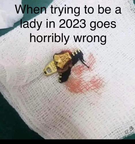 FB_IMG_1689960592134