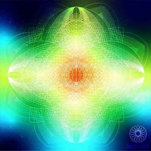 342600877_25353652380