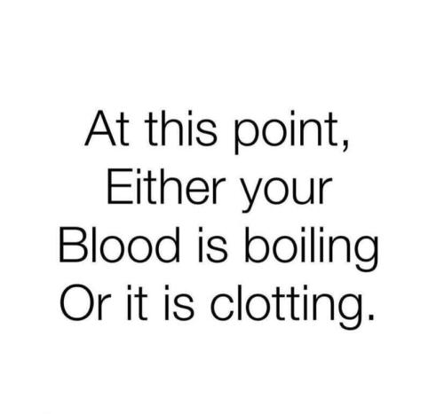 362938187_593882526239626_562129756469717705_n