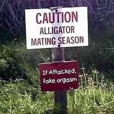 47A66492-4BCF-4D0A-9044-3AEECDEED9C4